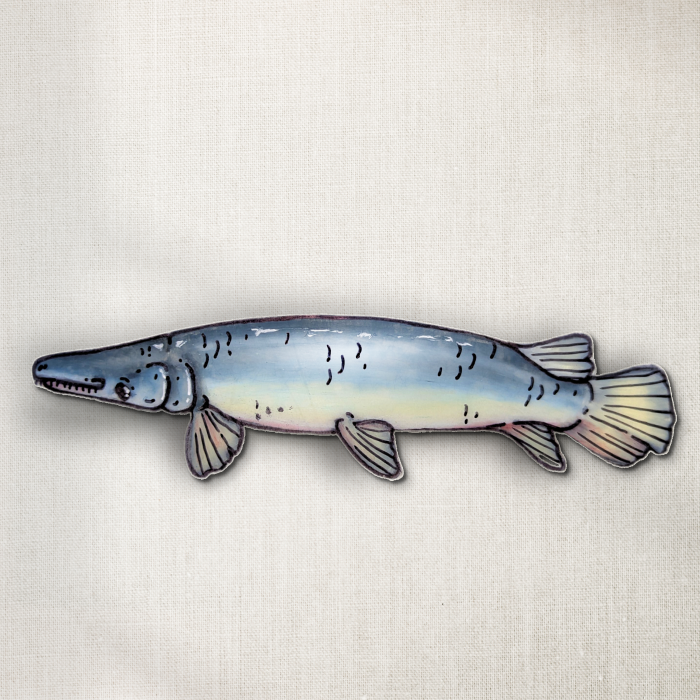 Alligator Gar