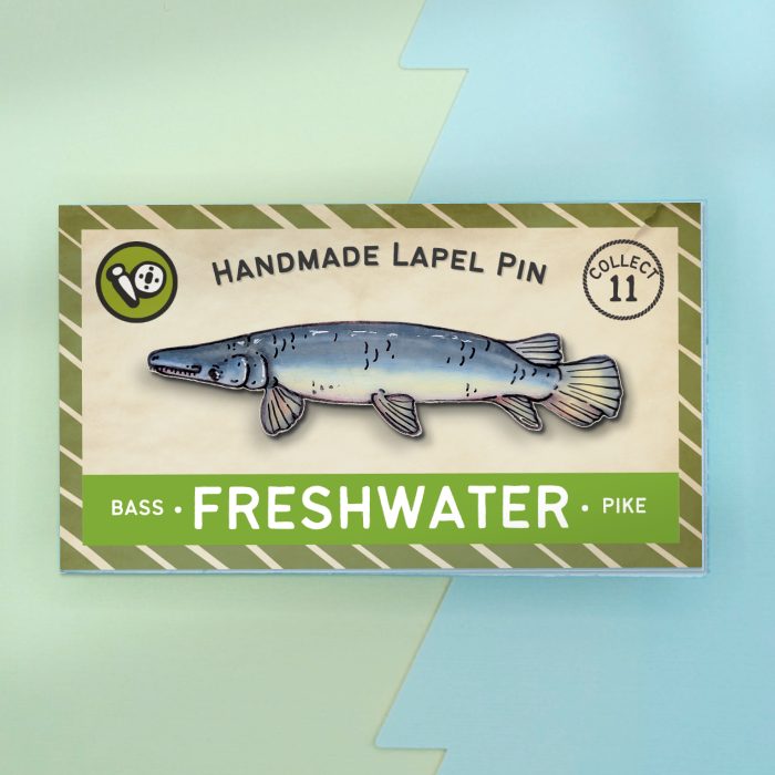 Alligator Gar