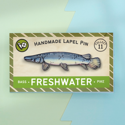 Alligator Gar
