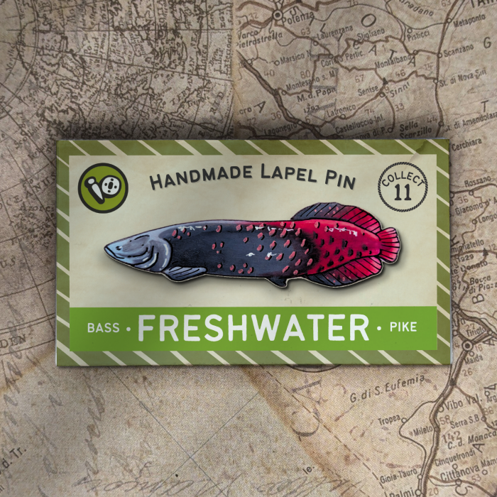 Arapaima