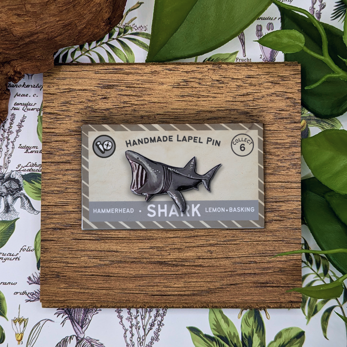 Basking Shark