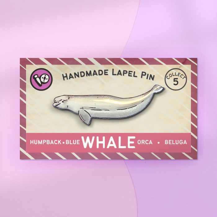 Beluga Whale