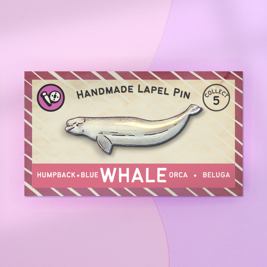 Beluga Whale