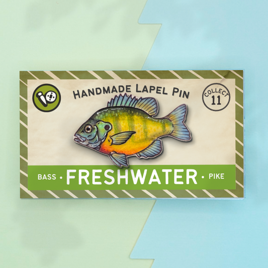 Bluegill