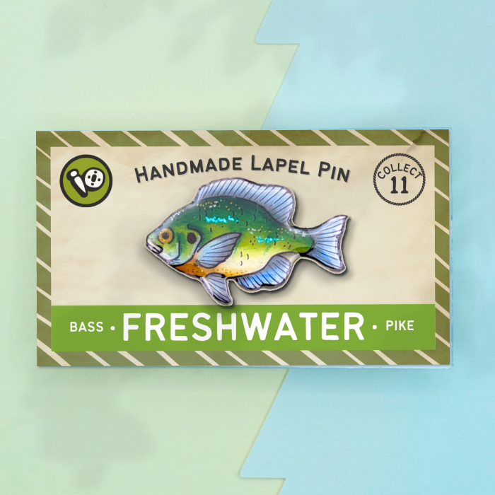Bluegill