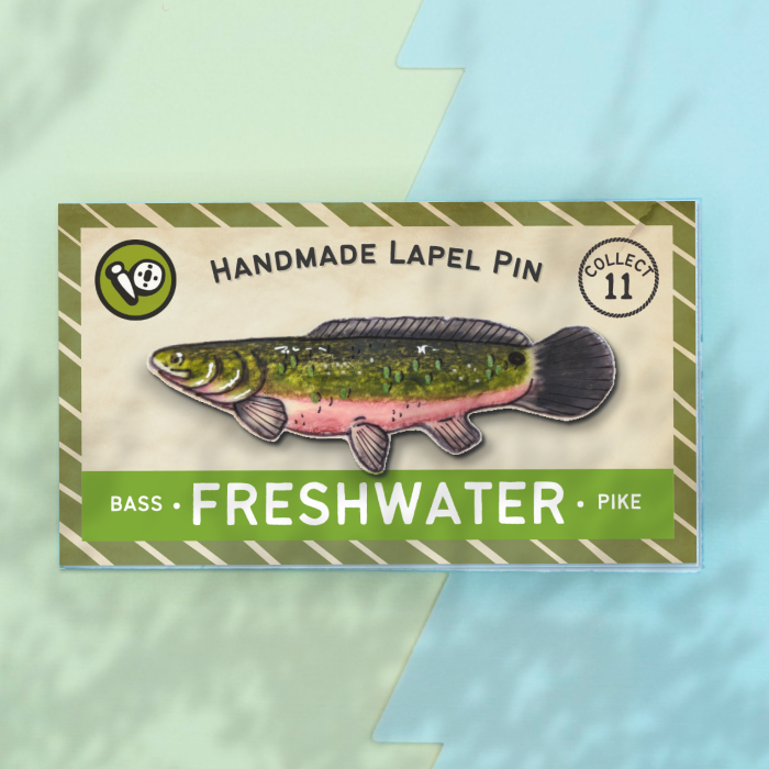 Bowfin