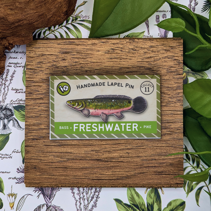 Bowfin