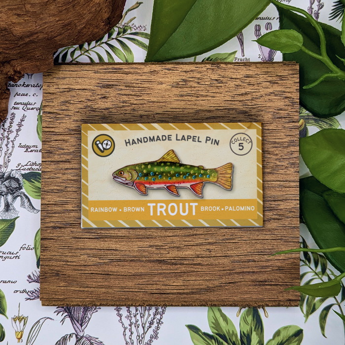 Brook Trout