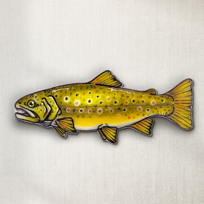 Brown Trout