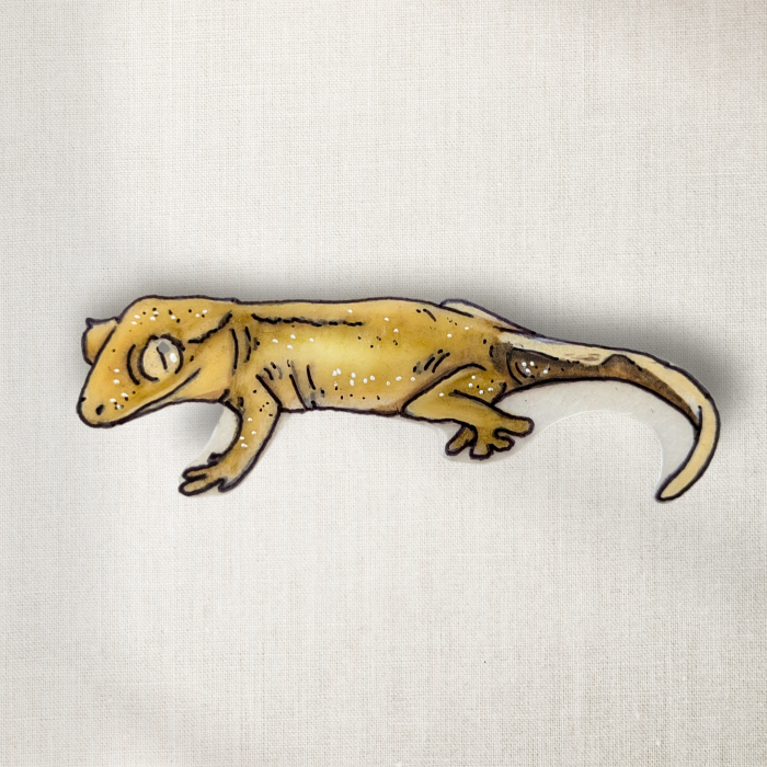 Crested Gecko