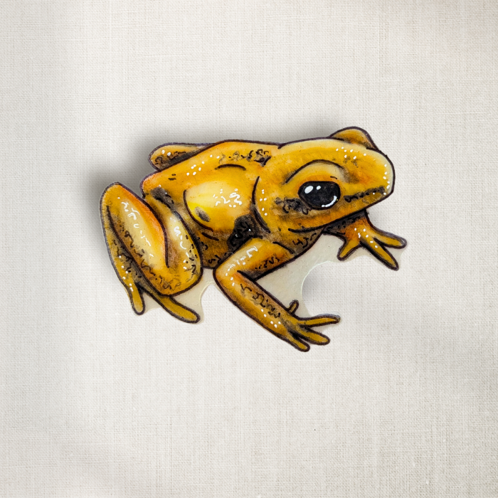 Dart Frog