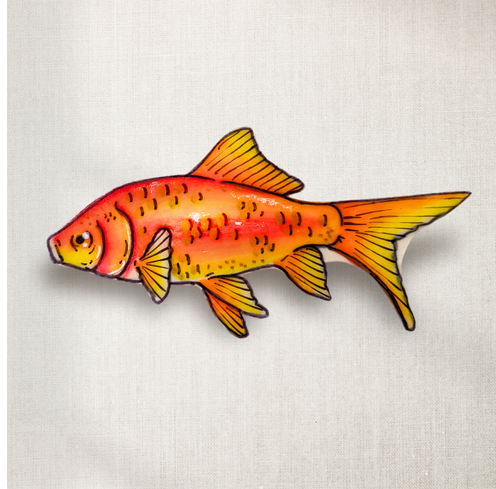Goldfish