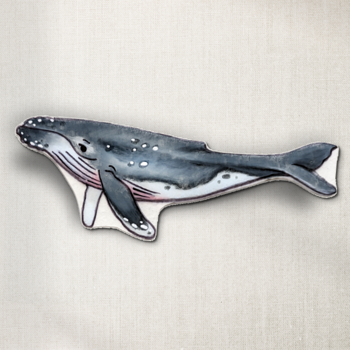 Humpback Whale