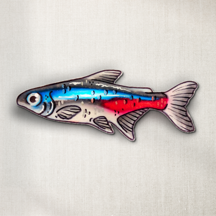 Neon Tetra
