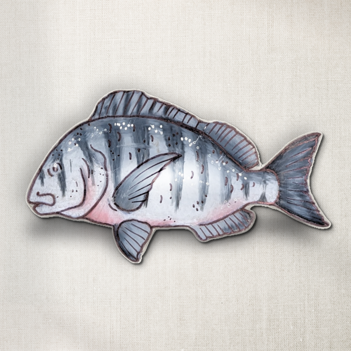 Sheepshead