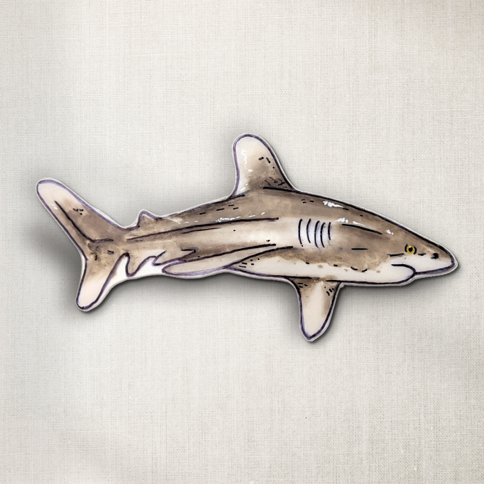 White Tip Shark