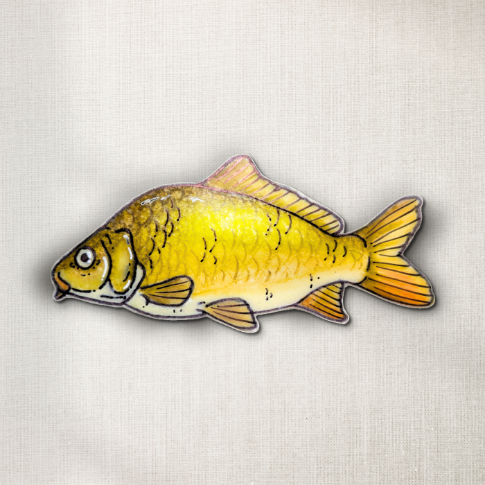 Common Carp