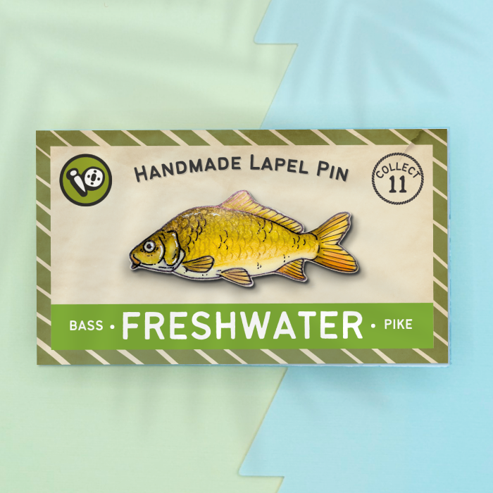 Common Carp