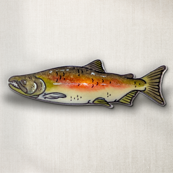 Chinook Salmon