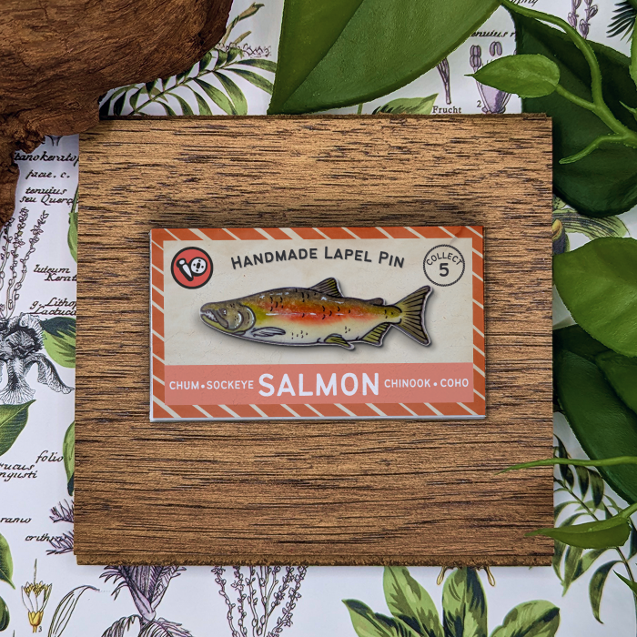 Chinook Salmon