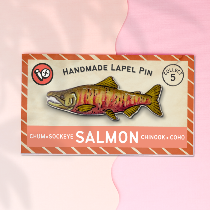 Chum Salmon