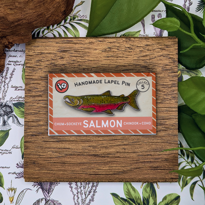 Coho Salmon