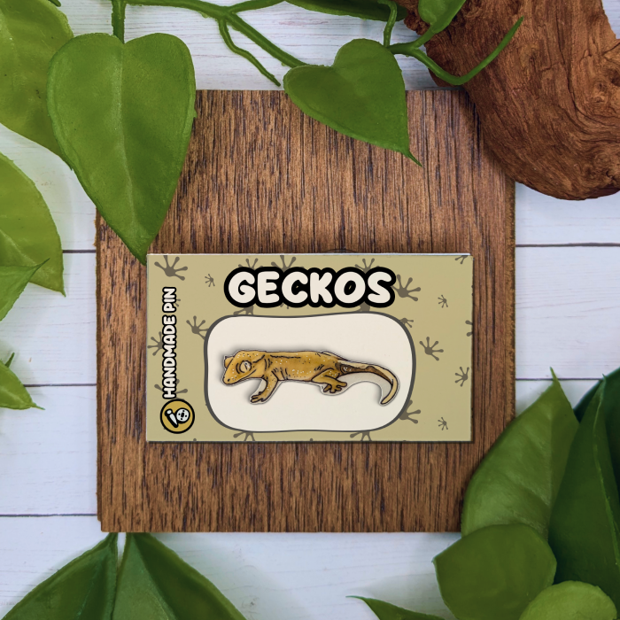 Crested Gecko