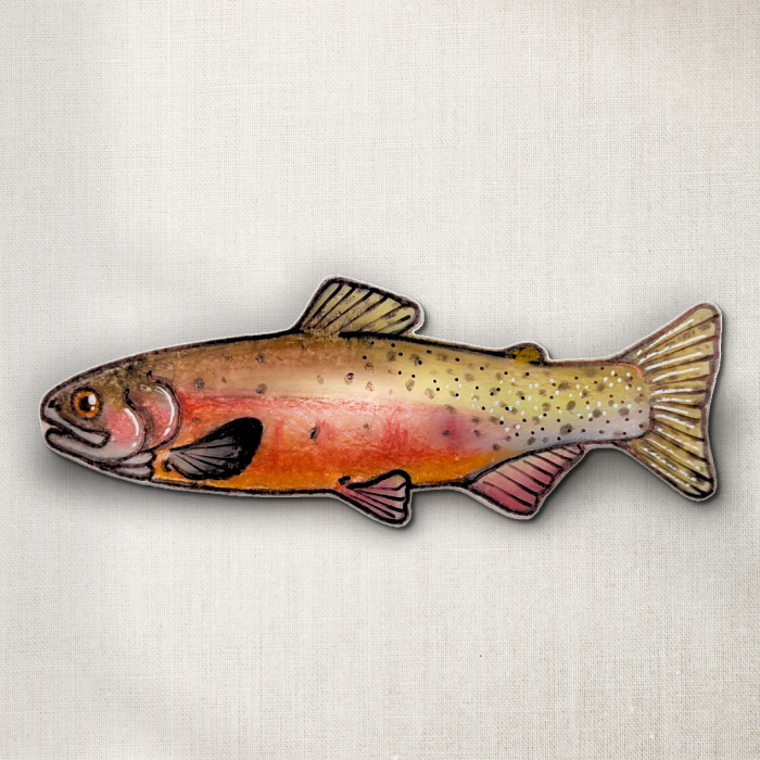 Cutthroat Trout