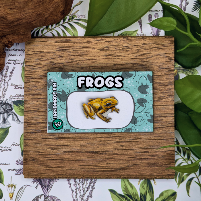 Dart Frog