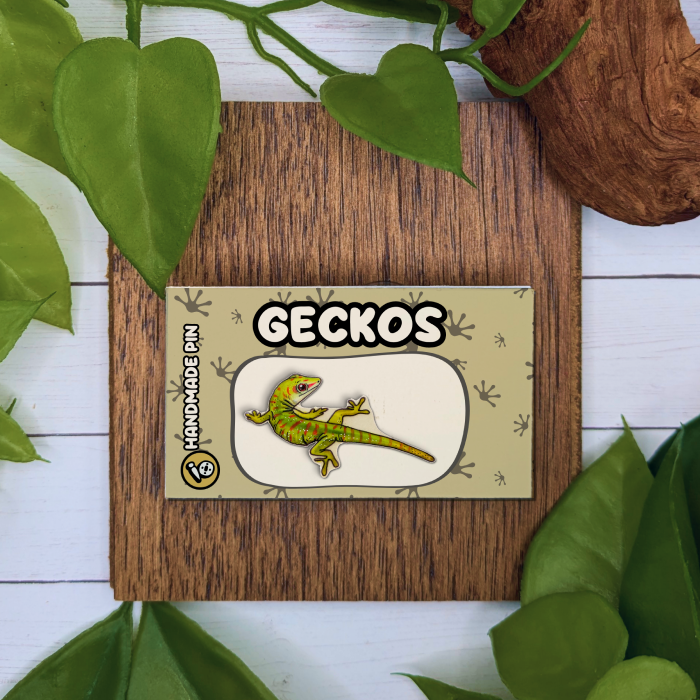 Day Gecko
