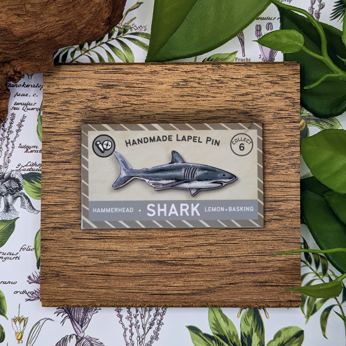 Great White Shark
