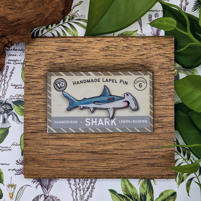 Hammerhead Shark