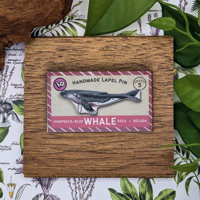 Humpback Whale