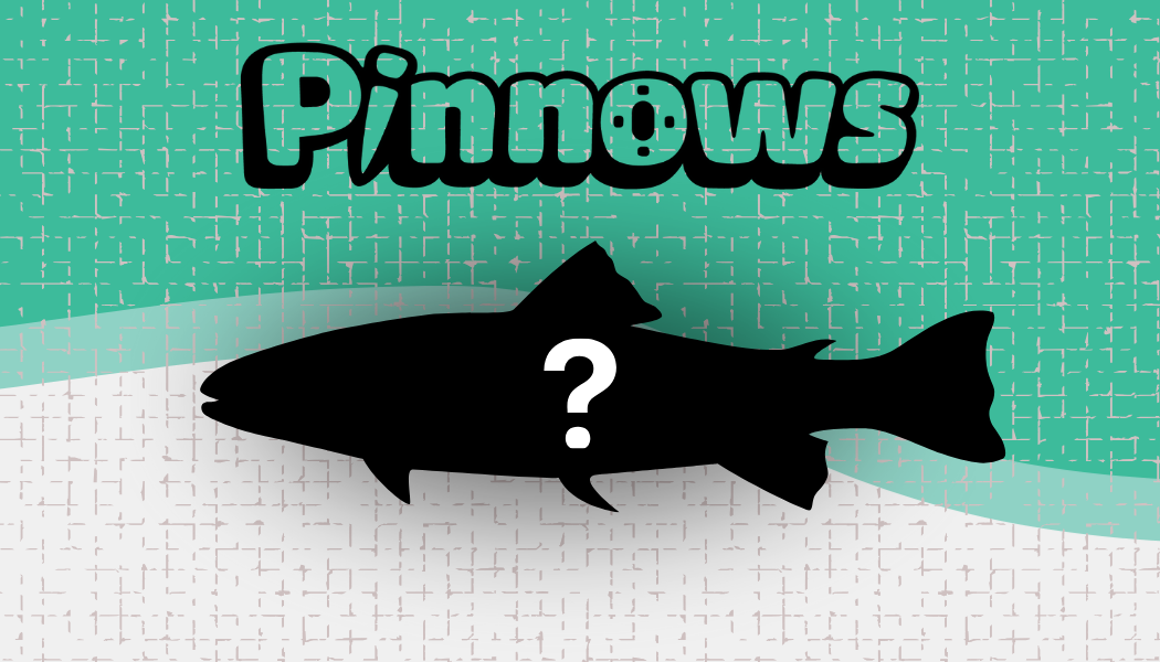CUSTOM PINNOW