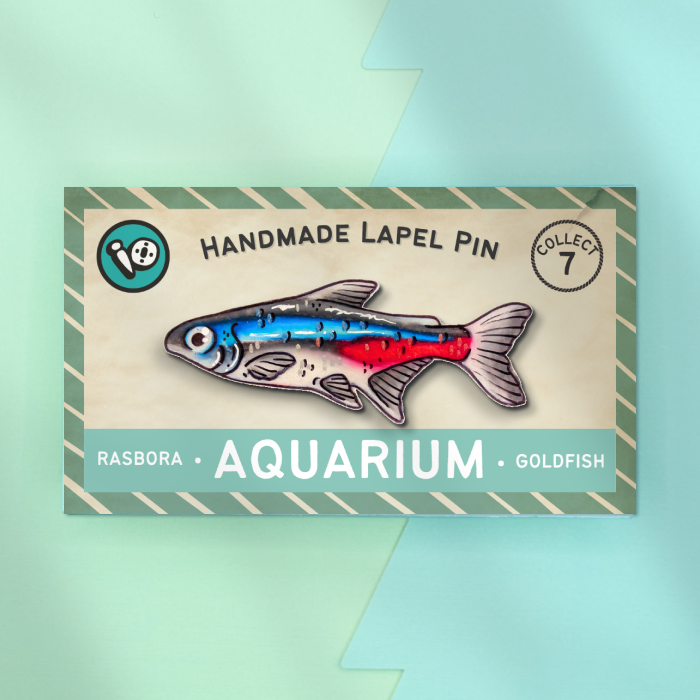 Neon Tetra