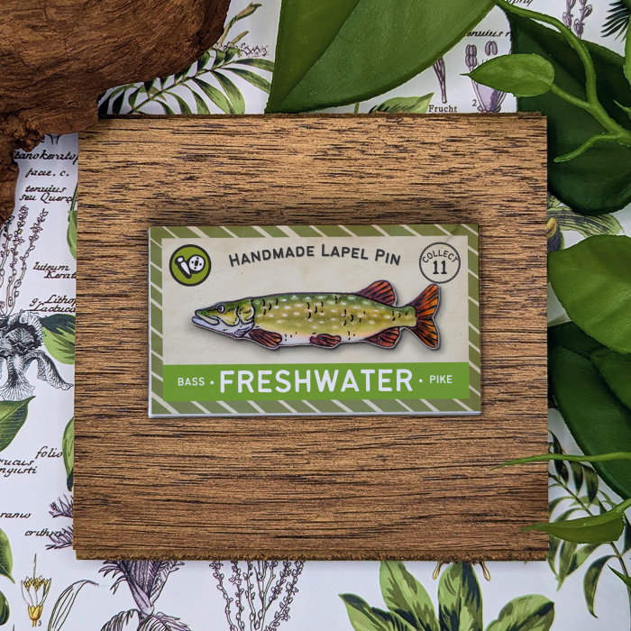 Northern Pike