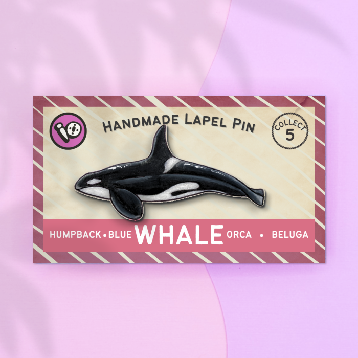 Orca Whale