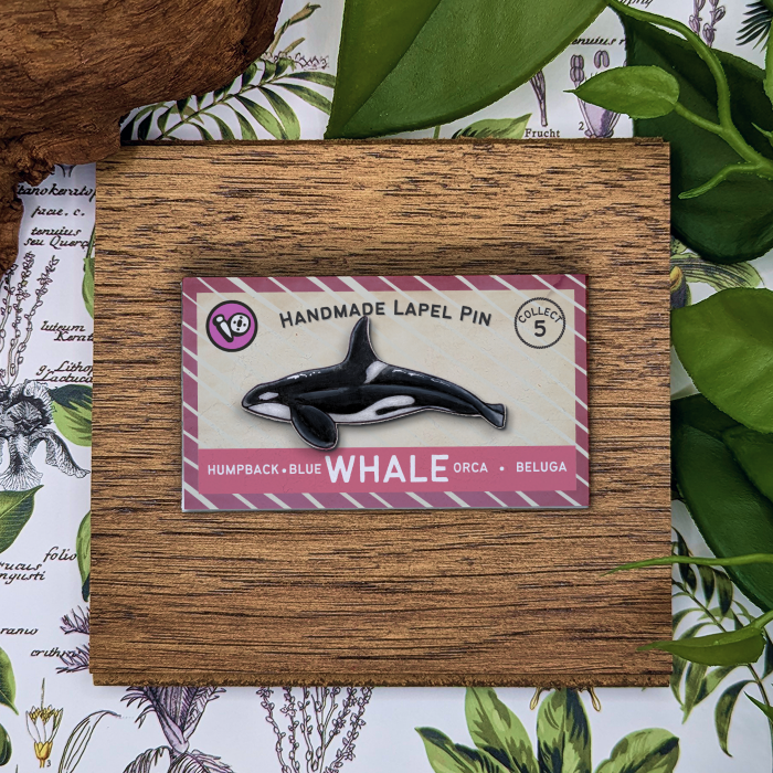 Orca Whale