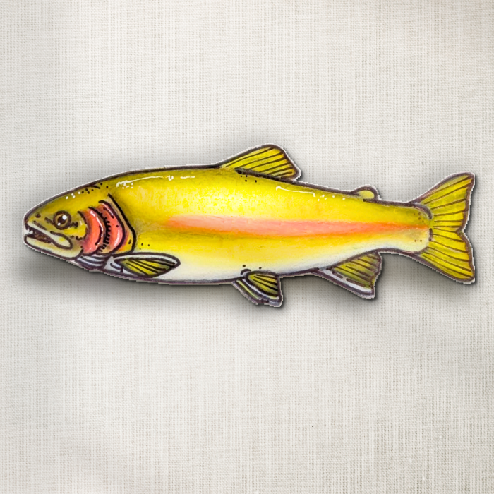Palomino Trout