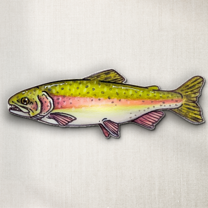 Rainbow Trout