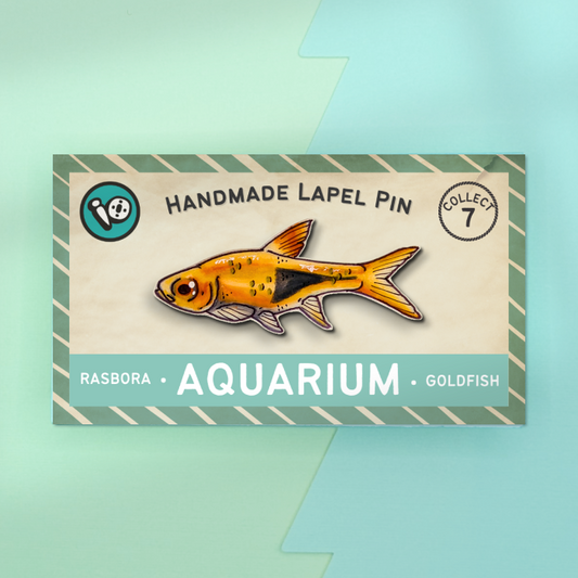 Rasbora