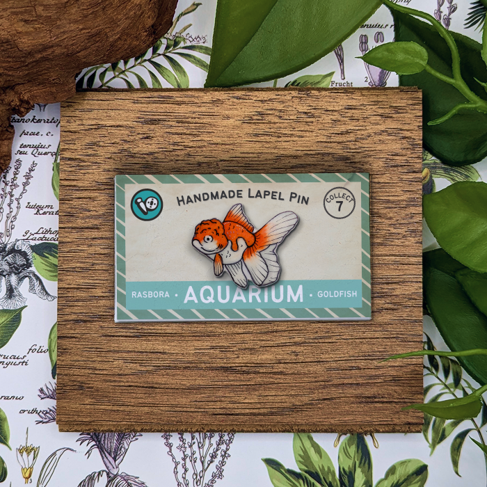 Red Cap Goldfish