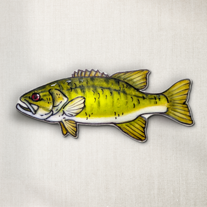 Smallmouth Bass
