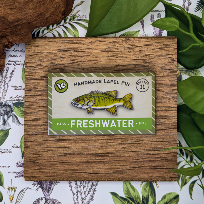 Smallmouth Bass