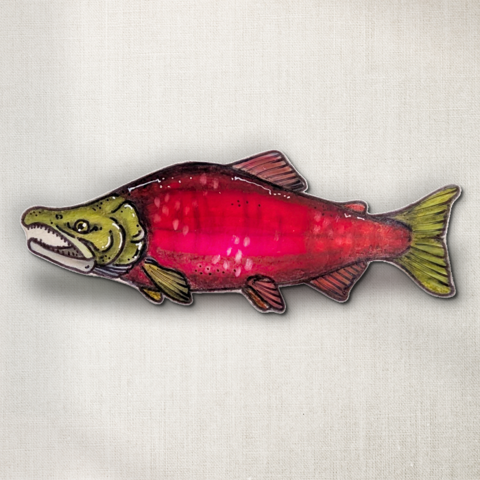 Sockeye Salmon