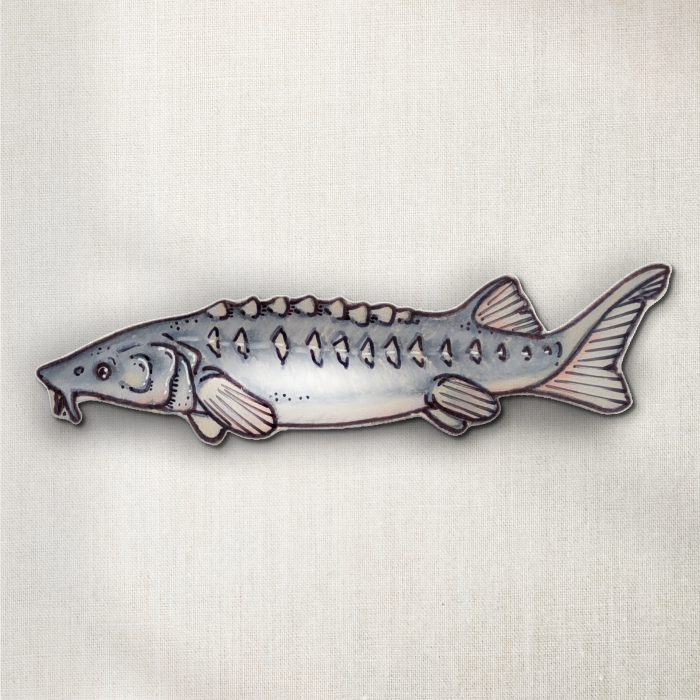River Sturgeon