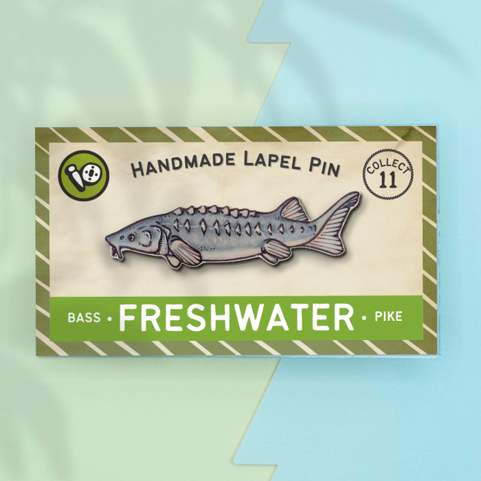 River Sturgeon