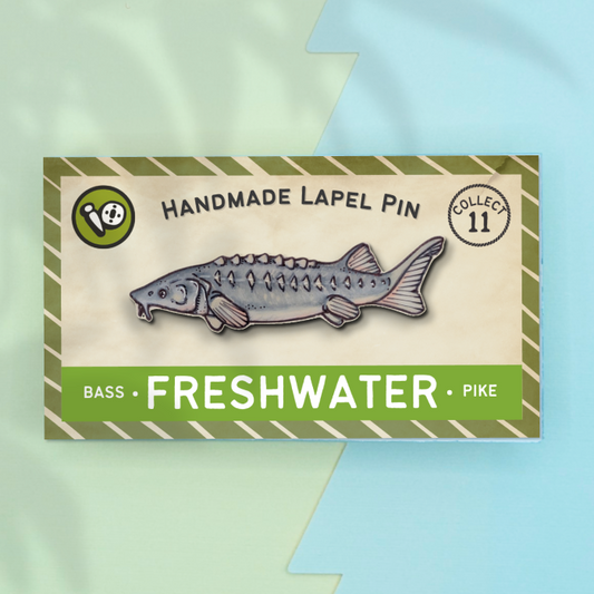 River Sturgeon