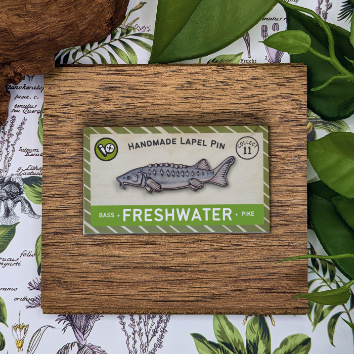 River Sturgeon