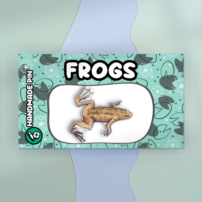 African Dwarf Frog